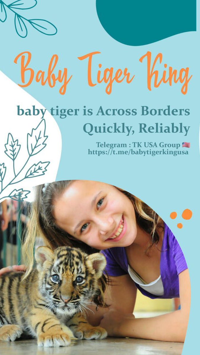 BABY477433641's tweet photo. @cryptojack 🌸🌸Baby Tiger King🌸 
🌸🌸🌸🌸🌸🌸🌸🌸🌸
🌿🌿🌿🌿🌿🌿🌿🌿🌿
💝💝💝Baby TK💝💝💝
💝💝Baby Tiger💝💝💝
🌿🌿🌿🌿🌿🌿🌿🌿🌿
🌸🌸🌸🌸🌸🌸🌸🌸🌸
#Babytiger 
#babytk  
#BabyTigerKing 
#babytigerkingIranian 
#BabyTigerKingTürkiye 
#babytigerkingArabia
#NFT
🐅🐅🐅✔️✔️✔️♥♥♥ https://t.co/6mdx8pmTlH
