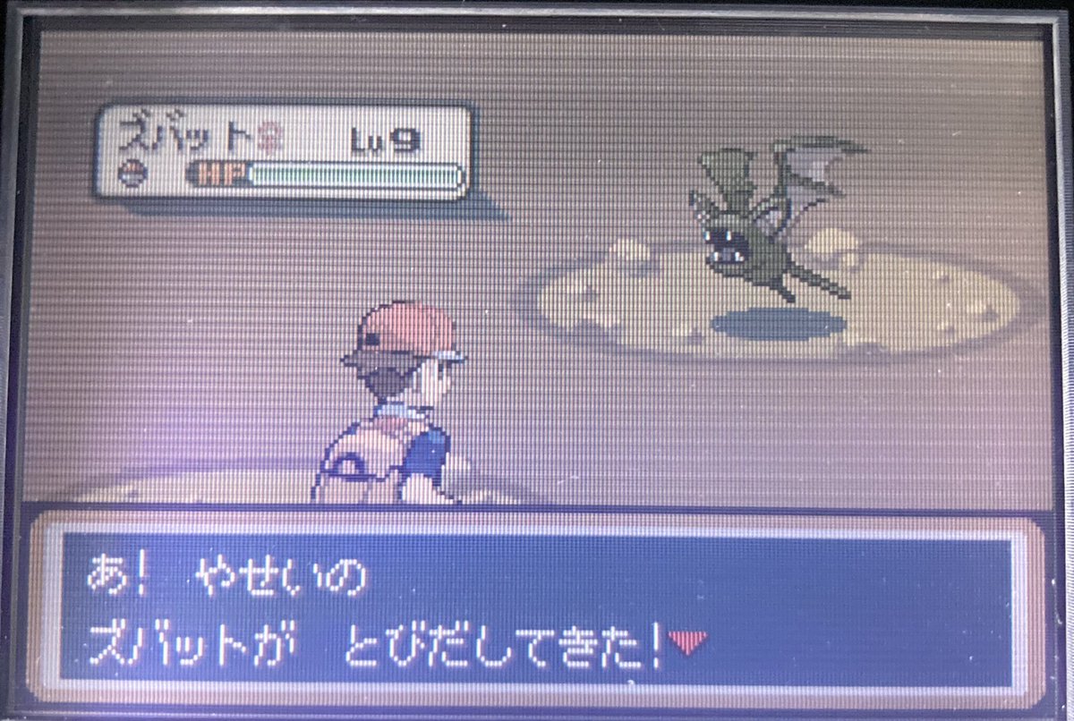 ポケモンgo ズバットの色違い 入手方法と実装状況 攻略大百科