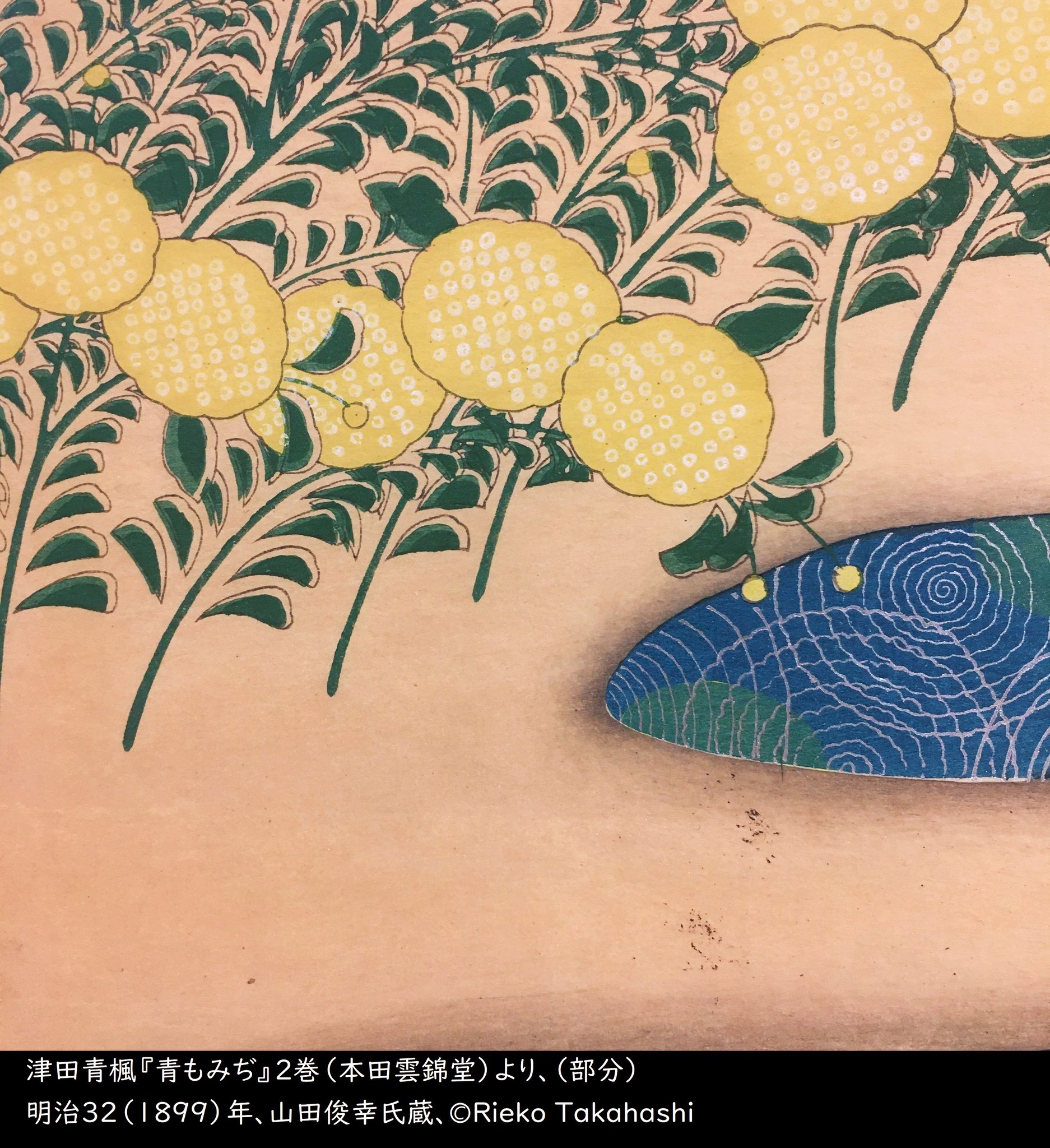 津田青楓『野菜』水彩画 絵画 楽天市場】絵画 津田青楓 水彩画 『野菜』 収穫 野菜 一点物