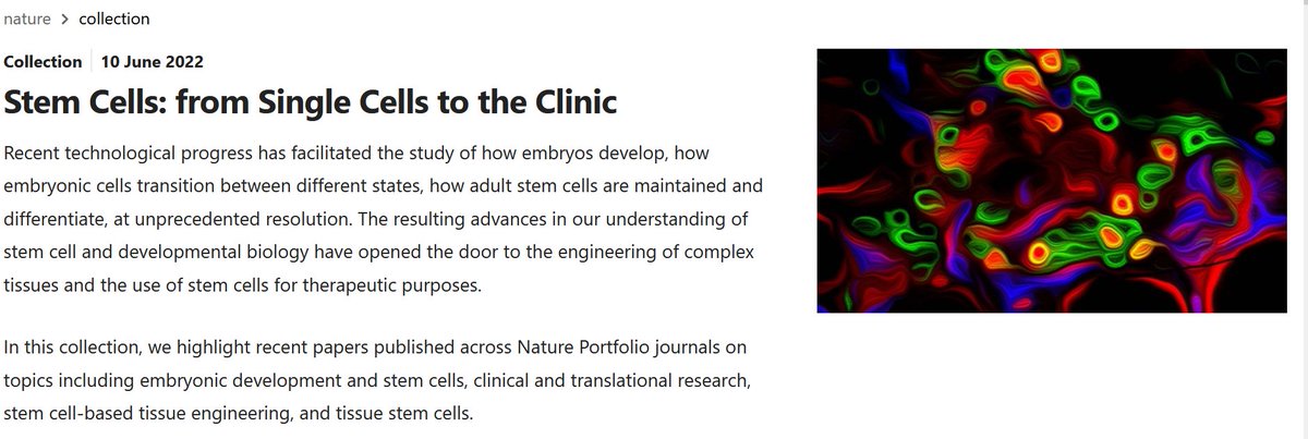 Nature Reviews Gastroenterology & Hepatology (@natrevgastrohep) on Twitter photo Need #weekendreading? Check out this new cross-journal collection on #stemcells nature.com/collections/if…
Includes <a href="/NatRevGastroHep/">Nature Reviews Gastroenterology & Hepatology</a> Reviews on cancer stems cells in HCC by Ma & co and on intestinal tissue engineering by <a href="/lucindatullie/">Lucinda Tullie</a>, <a href="/DrBrendanJones/">Brendan Jones</a>, <a href="/paolodecoppi/">Paolo De Coppi</a> & <a href="/VivianLiLab/">Vivian Li</a> Need #weekendreading? Check out this new cross-journal collection on #stemcells nature.com/collections/if…
Includes <a href="/NatRevGastroHep/">Nature Reviews Gastroenterology & Hepatology</a> Reviews on cancer stems cells in HCC by Ma & co and on intestinal tissue engineering by <a href="/lucindatullie/">Lucinda Tullie</a>, <a href="/DrBrendanJones/">Brendan Jones</a>, <a href="/paolodecoppi/">Paolo De Coppi</a> & <a href="/VivianLiLab/">Vivian Li</a>