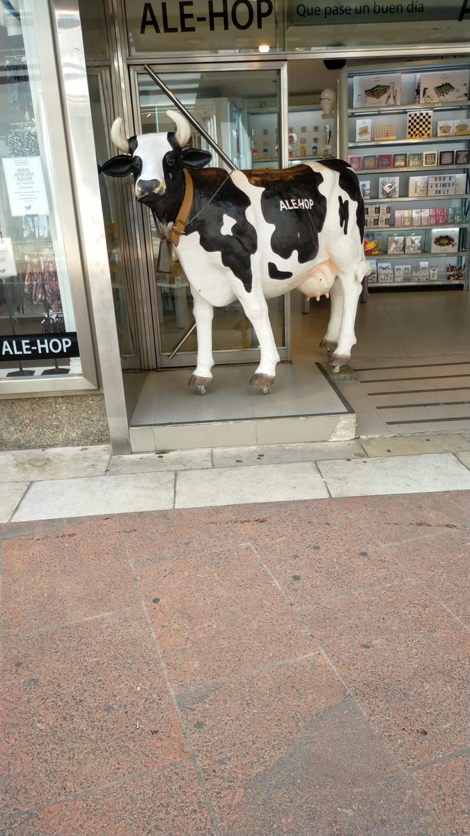 sainz_50's tweet photo. @alehop Me gustan mucho vuestros productos, pero siempre he tenido la curiosidad de saber donde compráis esas vacas, quiero una para mi casa. Y otra para el jardín del pueblo
Gracias https://t.co/rTssd7cs3r
