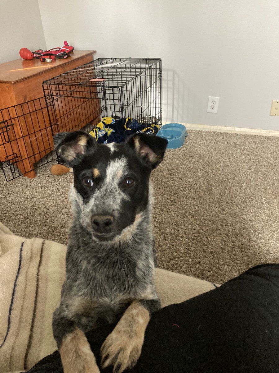 FutureRyan6's tweet image. 