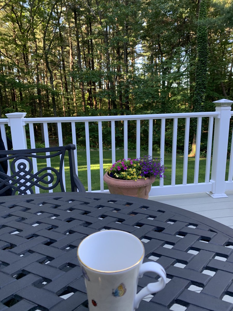 JulianeLeary's tweet photo. Happy Friday! 🌞 https://t.co/I9uWWrS2fJ