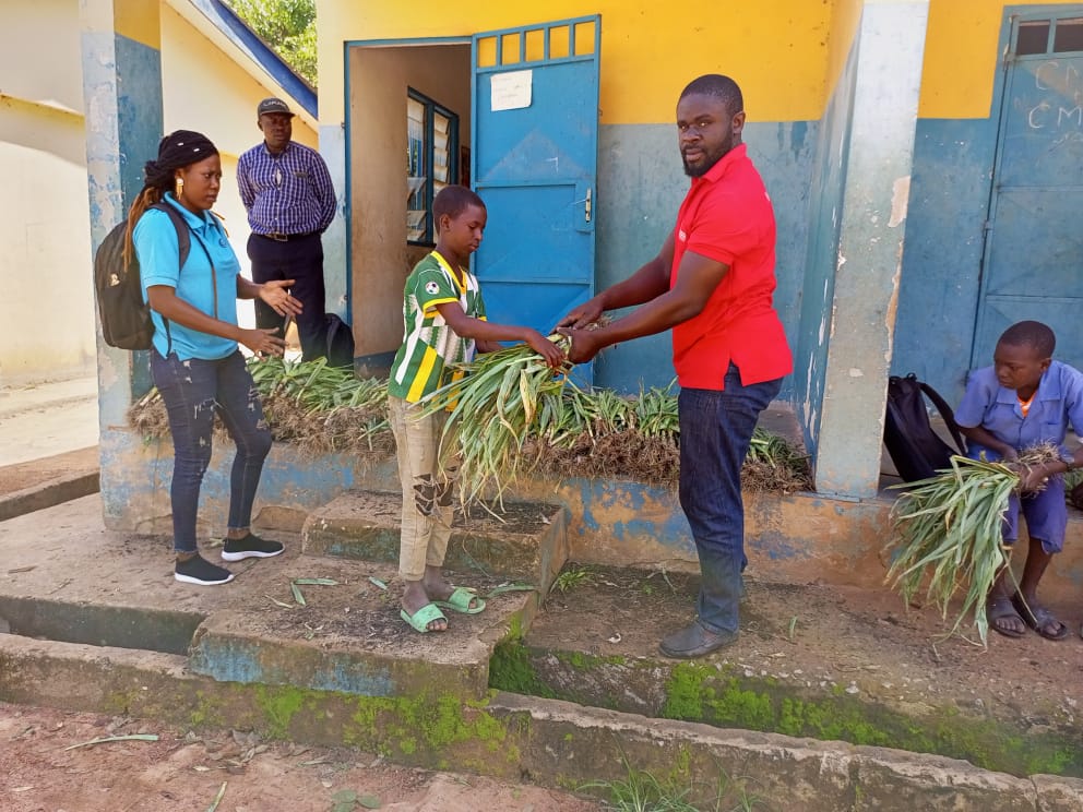 WFP_Cameroon's tweet photo. #Cameroon🇨🇲

Récolte de3⃣0⃣kg de poireaux🥬par les élèves du CM2 de l'école primaire publique d'Adinko dans la commune de #Mandjou, une des trois écoles pilote du programme d’alimentation scolaire à base de produit locaux initié par #WFP_Cameroon🇨🇲 dans la région de l’Est

#HGSF https://t.co/rrsPgdN4ZL