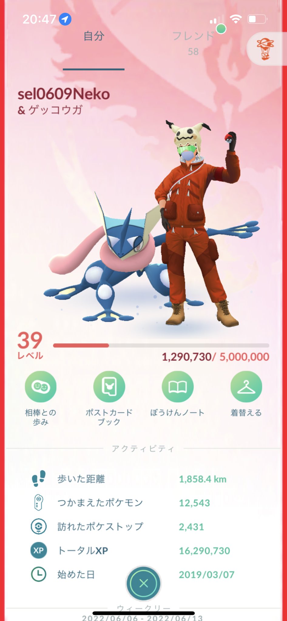 ポケ活中の猫 Sel06pokemon Twitter