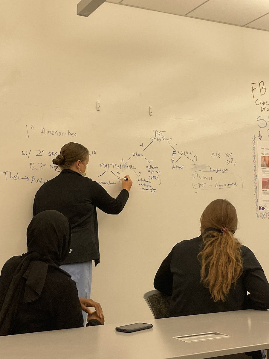 pkbradley's tweet photo. We love a good chalk talk #teachingrounds @IUSMOBGYN @NikkiPScott https://t.co/Yv1obphHWZ