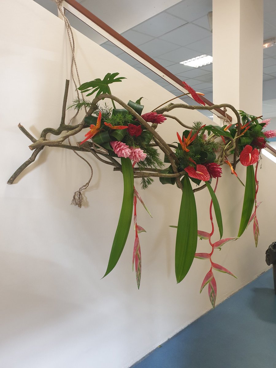 Masterclass Thomas Pesquet cet après-midi. L'amphithéâtre Charles Julius de l'UFR-STE prêt pour l'événement.