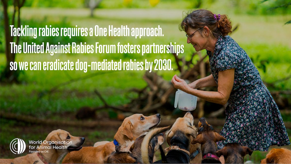 Rabies still kills - one of our best weapons to stop this disease is by joining forces under a collaborative #OneHealth approach.

The <a href="/UARForum/">United Against Rabies</a> enables the fostering of partnerships so we can eradicate dog-mediated rabies by 2030. 

Discover its work 👉 unitedagainstrabies.org