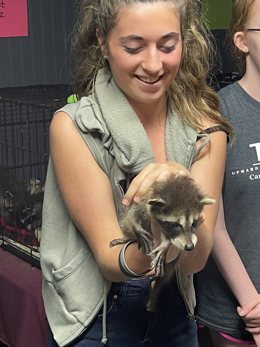 TrioMath's tweet photo. Upward Bound Math-Science had an amazing morning at Critter Cove.  They are in need of volunteers due to the spring wave of baby raccoons! There will be another wave in July so we would encourage people to give their time to help their efforts! https://t.co/oUad1O4IAF