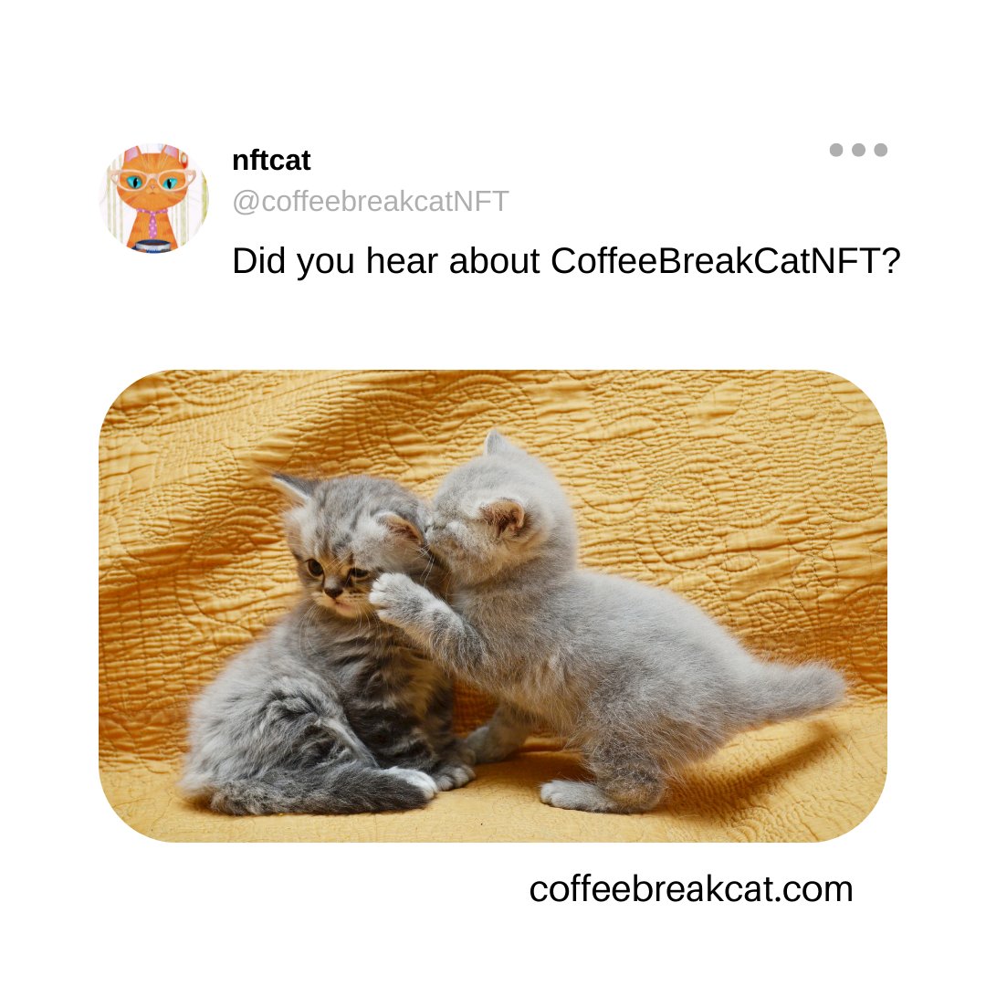Did you hear about CoffeeBreakCat NFT?
It's already in public sale now, check it out from coffeebreakcat.com
#coffeebreakcatnft #nftgiveaway