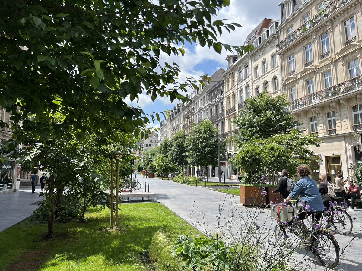 Qagggy's tweet photo. What if—instead of noise and fumes—we filled our streets with people, trees and the sound of chirping birds? https://t.co/YIWyso4gzG