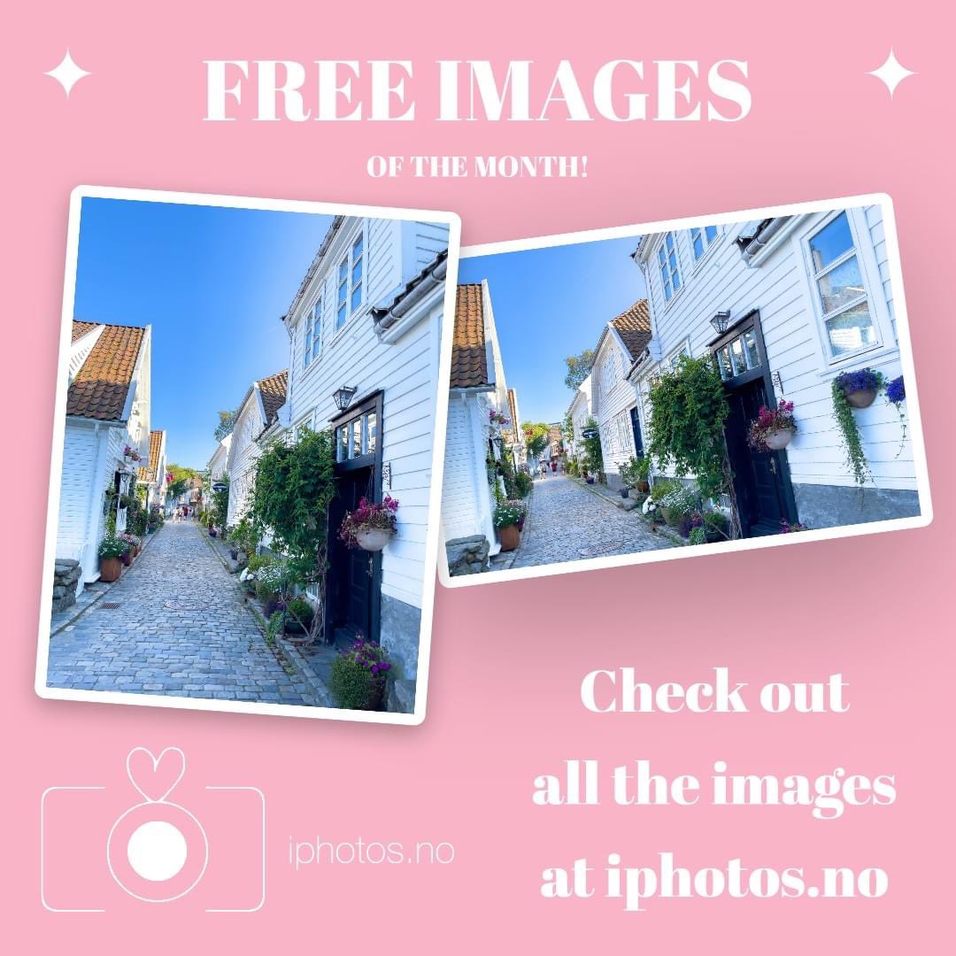 MathildeJoy's tweet image. Free images this month from beautiful Old Stavanger, Norway 🌸 Check out iphotos.no and click on «Free photos ..» on menu 😊 #stavanger #oldstavanger #gamlestavanger #visitnorway #norge #freeimages