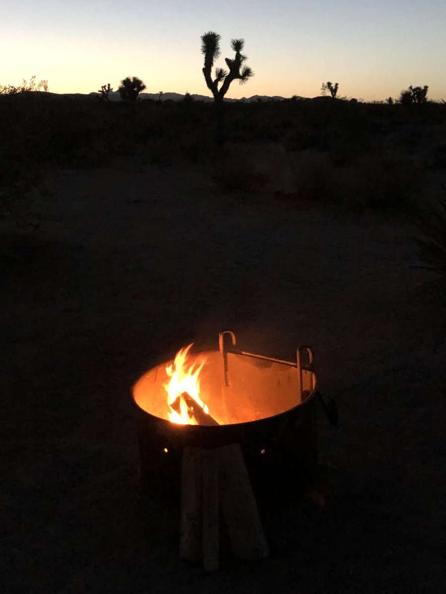 laboratorychild's tweet image. After a night with coyotes in Joshua Tree, and a scientifically inspiring ToxoCon2022 in Riverside, it's fun to announce a post-doc position in our lab - interested in using proteome engineering to dissect entire PTM signaling networks in Toxo? Join us! nature.com/naturecareers/…