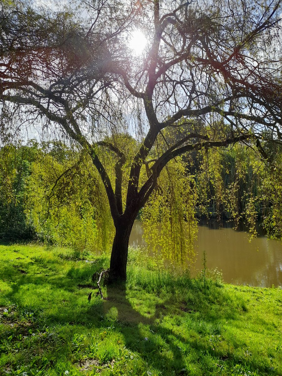 MyGandolphe's tweet photo. #Plesse
#SaintHerblainLa ville @saintherblain
a reçu une délégation de la @communedeplesse
Nous avons visité le Parc du Val de Chezine et de la Saveze. Aménagements des espaces verts, aires de jeux, jardins collectifs, entretien des points d'eau et les contraintes réglementaires. https://t.co/2iv6aEKe47