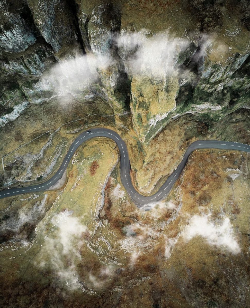 Ron Timehin tweet media