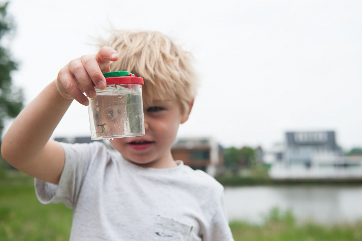 Vandaag gaan de Slootjesdagen van start! Bekijk de Slootjesactiviteiten bij jou in de buurt: ivn.nl/slootjesdagen/…