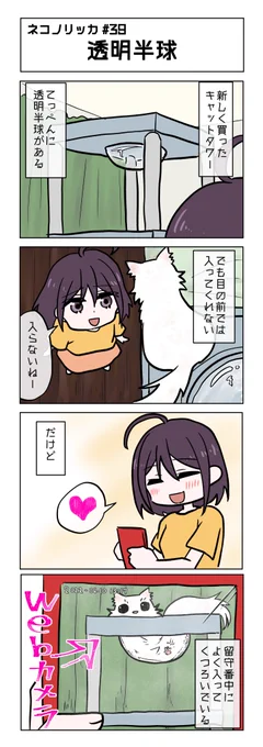 第39話!
#ネコノリッカ #猫リッカ #サイベリアン #四コマ漫画 #猫漫画 #猫の居る暮らし #猫好きさんと繫がりたい #猫 #漫画が読めるハッシュタグ 