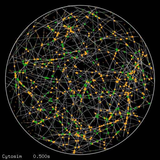 New protocol: a step-by-step guide to install Cytosim and explore the contractility of an actomyosin cortex: arXiv.2205.13852