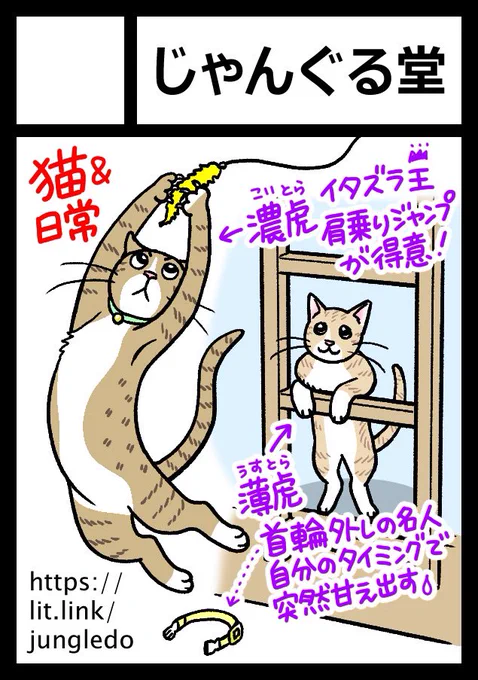 ◎あなたのサークル「じゃんぐる堂」は、土曜日 東地区"K"ブロック-01b に配置されました。

猫のほうは新刊怪しいですが、日常本『マンガ家母娘(おやこ)の私生活3』は何としてでも発行します!!😭🙏

#C100WebCatalog 
