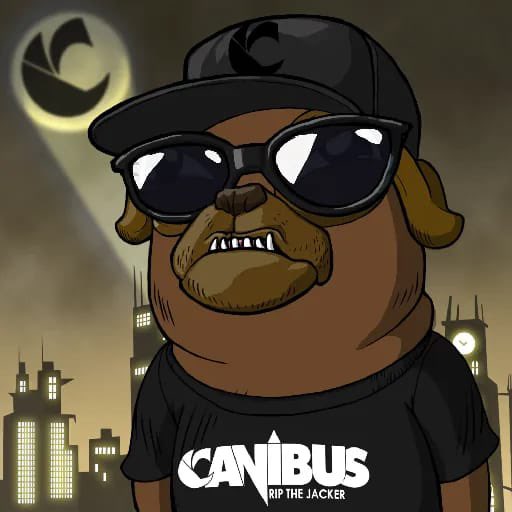 DaRealCanibus's tweet photo. @MomOfBaby92 @AkiaRobert @yastheface @KaliRanks @jakemmatthews @CafeNFTs @Pup_world01 @SalLaVattiata 🐶👽♾ https://t.co/14pNN14HAf