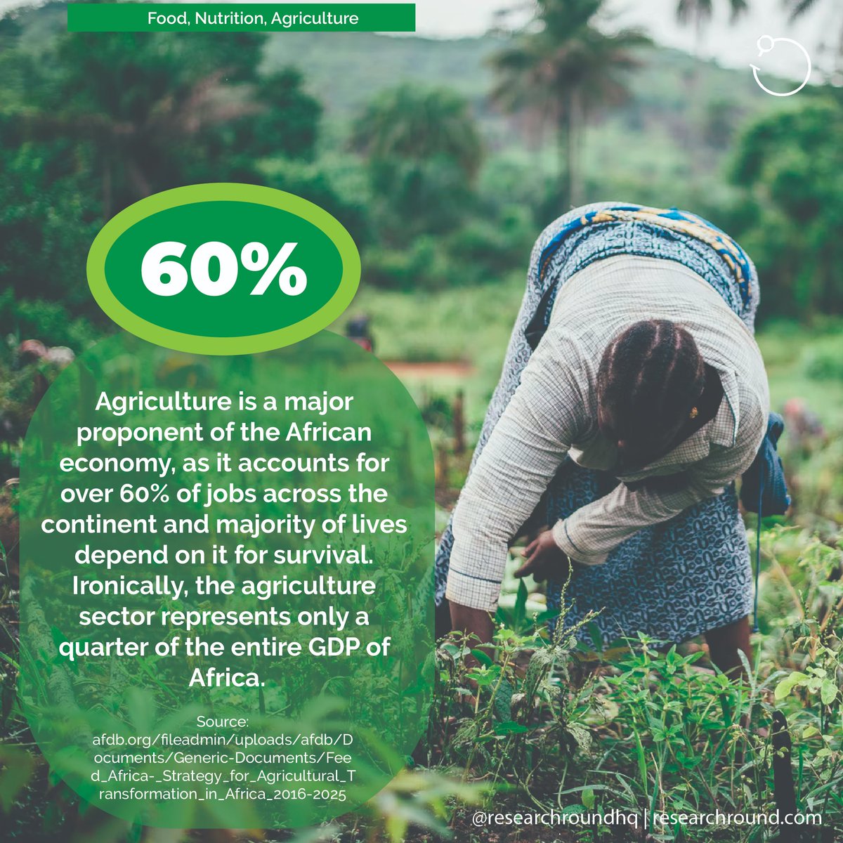 researchroundhq's tweet photo. The discussion about Africa being a more producing rather than consuming continent is typically going to be critical gearing towards development. Countries must take informed and intentional decisions in terms of investments in this sector. #agriculture #Africa #economy #Food https://t.co/LhsQKi8adk