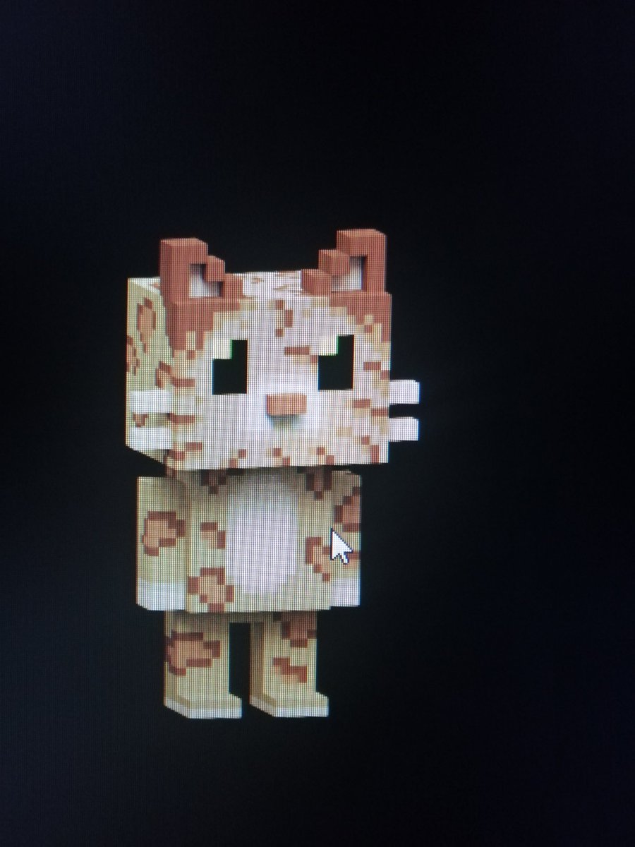 New chain 🔗.. New Journey.. ❤️