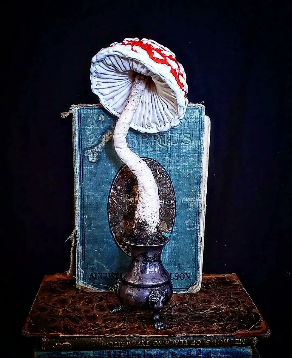 How magical is this little mushroom...you can feel the character and imagination coming to life! Beautiful work by ROOTED & STITCHED 🍄 

#beautifulbizarre #mushroom #textileartist #fantasyart #textilesculpture #mixedmediaart #textiles #folklore