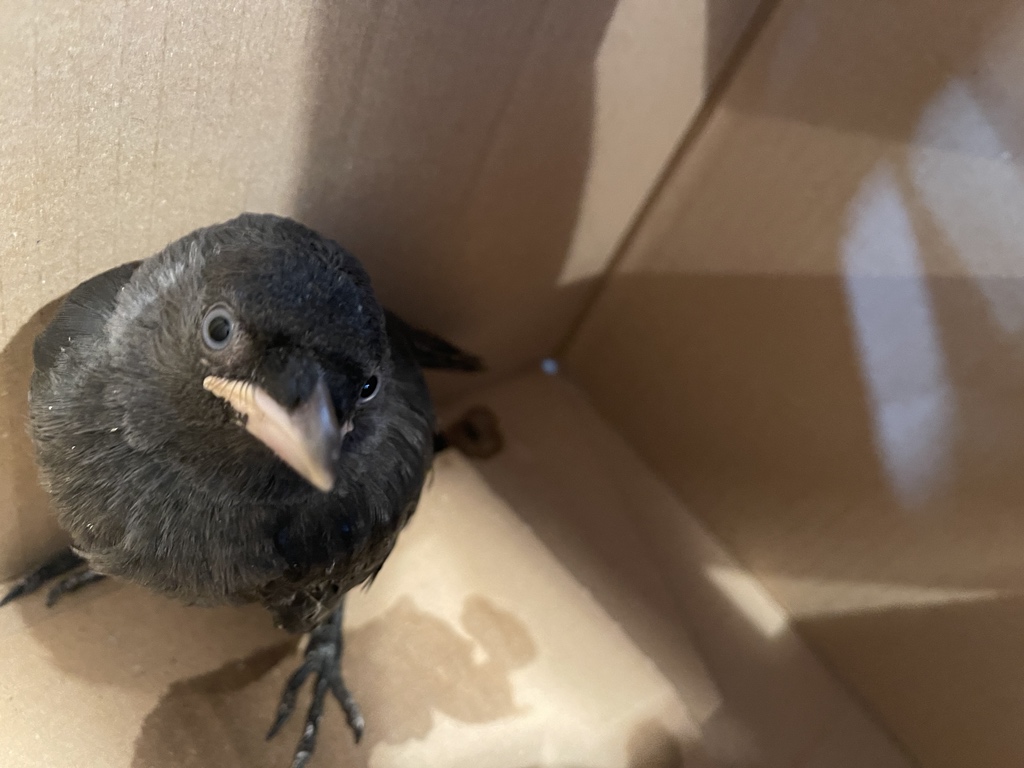 Jelle Haaima tweet media