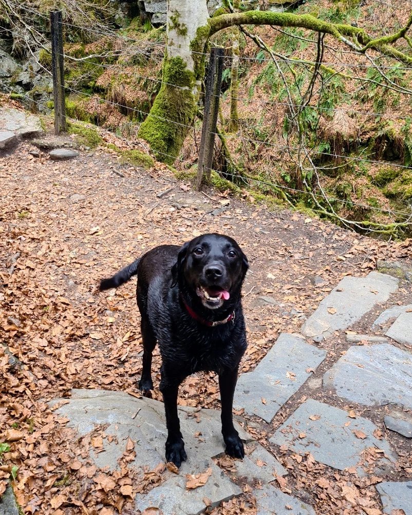 Scotland's Stories - Graeme tweet media