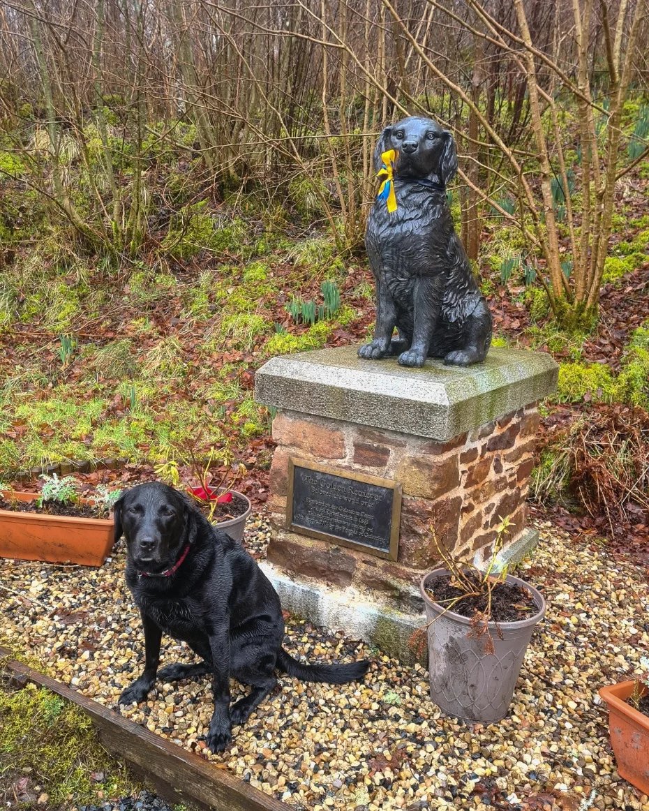 Scotland's Stories - Graeme tweet media