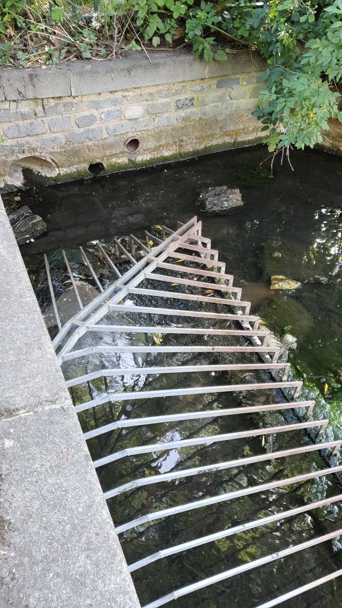 Geo_Jo26's tweet image. And we&apos;re off #nationalfieldworkweek Priory Gardens culvert