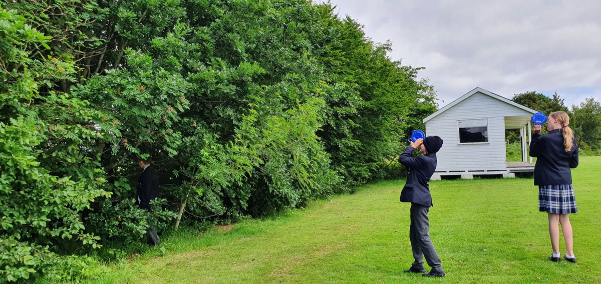 Using pythagoras, pi and scatter graphs to investigate the trees on site.