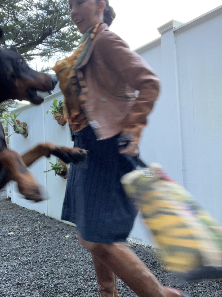 SallyannMoffat's tweet photo. This mornings #DancingWithDogs before work was hysterical. #DivaAndDeus seem to love it. https://t.co/JWoLMwIpSV