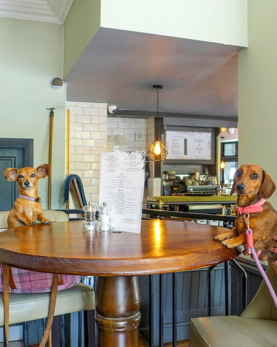 'Did someone say lunch at the Greenwich Tavern?' 🤤🤩 Join us with your pooches, we always have complimentary treats and water for them. 🐾 Many thanks to @daphnethewondersossige and @sauci_thesausage for the lovely photo. It was a pleasure having you! ☺️