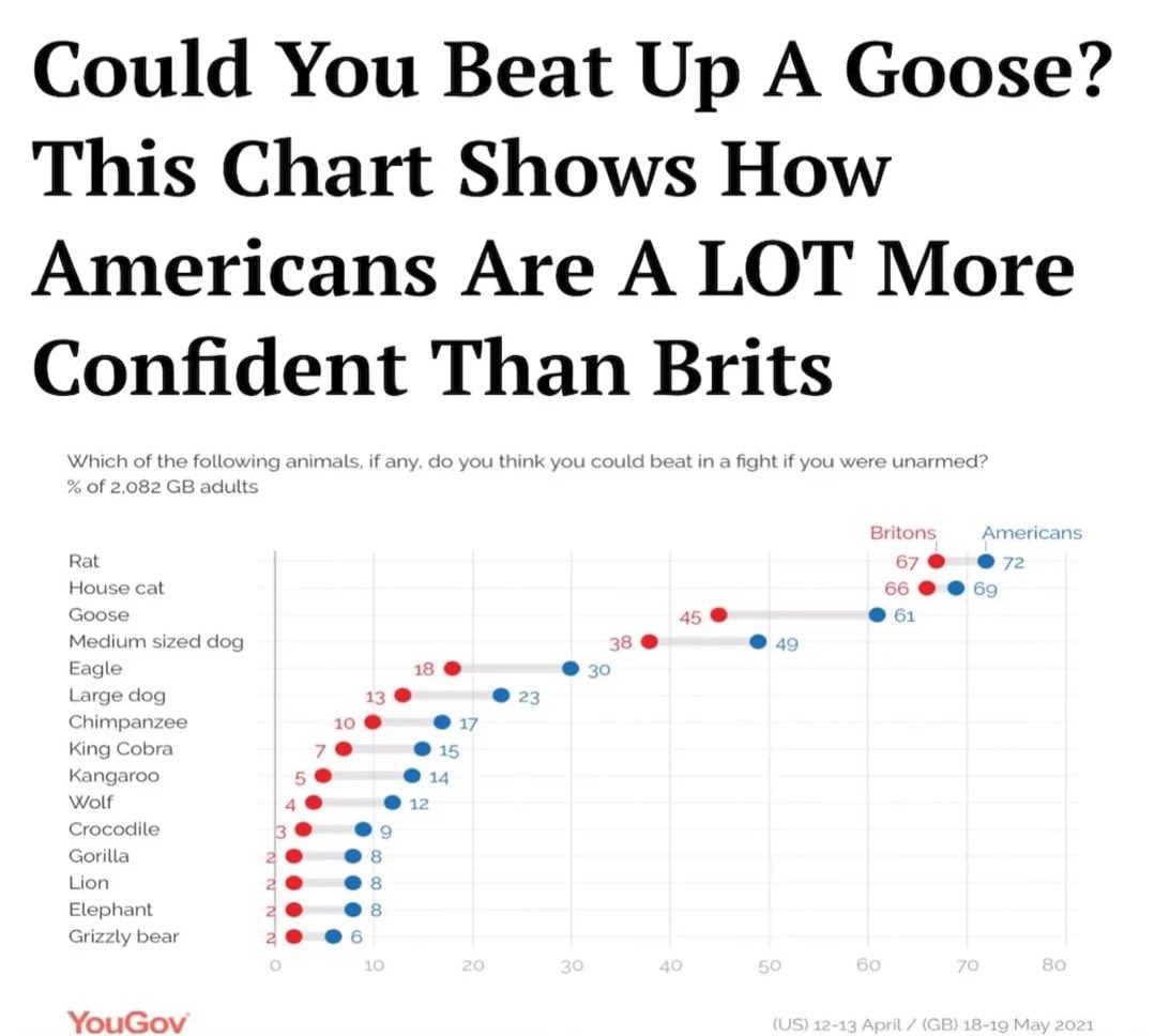 No Context Brits tweet media