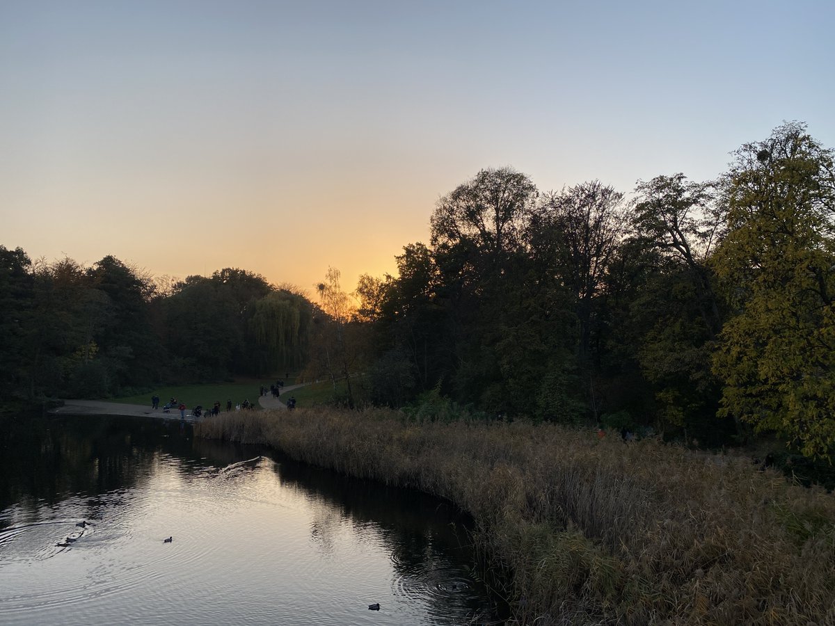 tskane66's tweet image. 