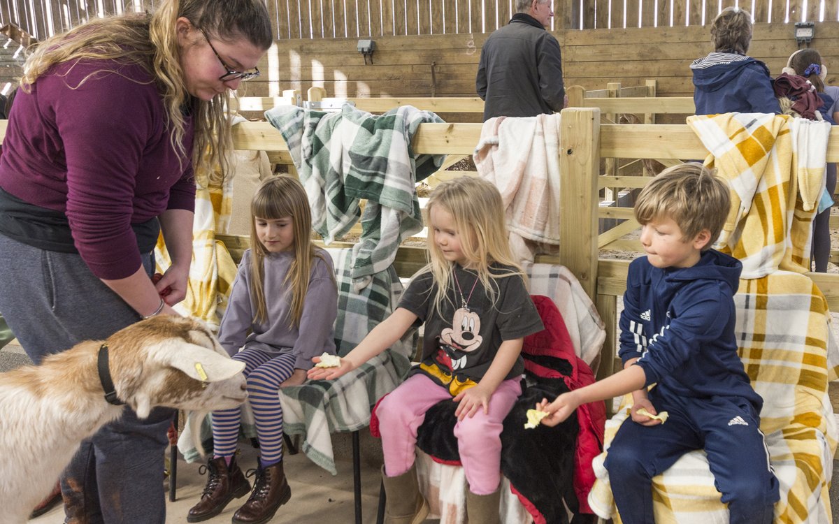 Occombe_Farm's tweet image. Make Occombe part of your plans today. Come for breakfast, come to play, come to shop. 

Treat your family to lunch. Catch up with friends for coffee and cake. Fun for all ages! 

#familydestination #ocombefarm #familyfun