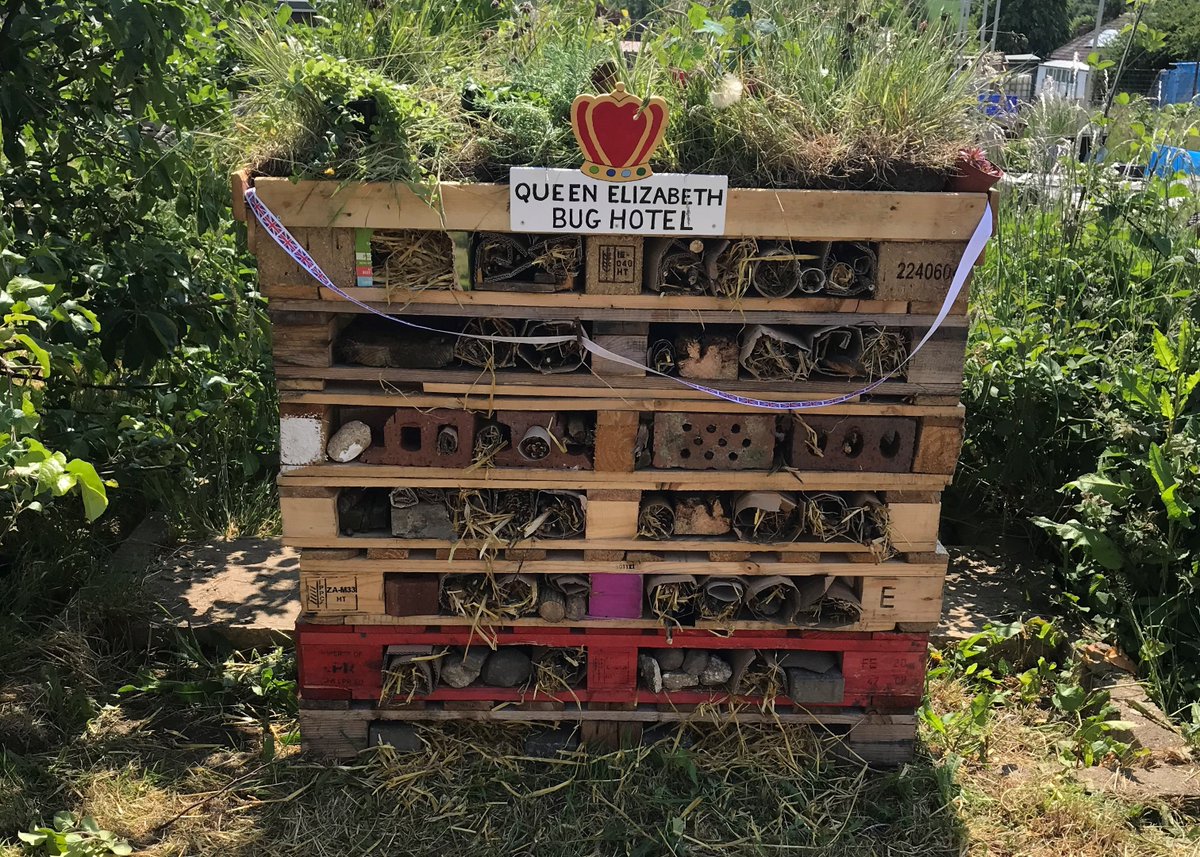 Suffolk_Enviro's tweet image. 👑 Hundon celebrated the Queen's Platinum Jubilee the right way with a community picnic!

🐞 Over 150 people joined the fun, building bug hotels, joining the scavenger hunt &amp;amp; watching the ceremonial tree planting.

#suffolk #treeplanting #wildlife #climatechange  #platinumjubilee