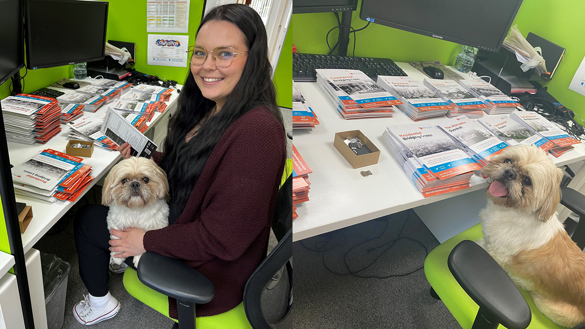 ABC_Bridging's tweet image. It’s a busy day here in the @ABC_Bridging office as we get ready for next weeks NACFB expo. I

t’s all paws on deck, so we are using all available resources to help! 

Thanks Monkey for your help today 🐶🐾
 
#ManyPawsMakeLightWork #ExtraStaff #DogAtWork #DogsLife