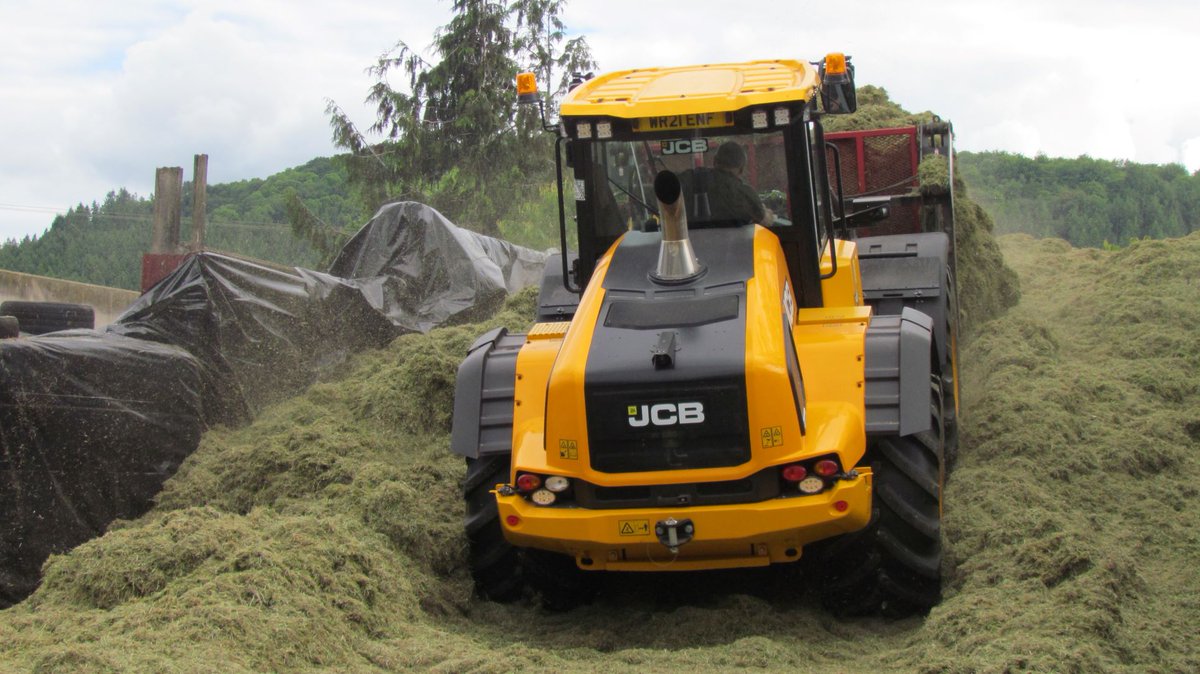 Model Farm Shop tweet media