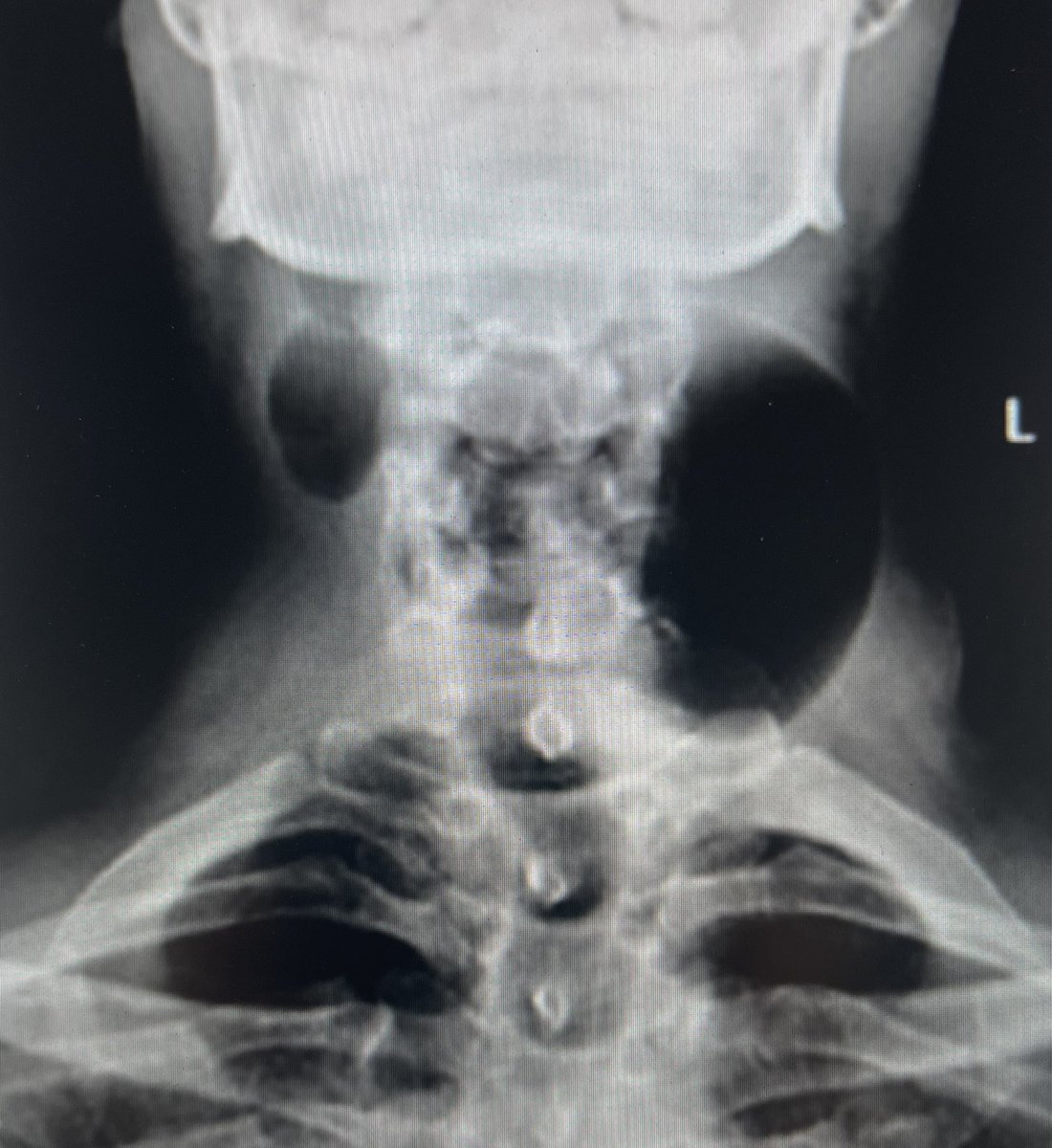 Dr Steve Colley tweet media