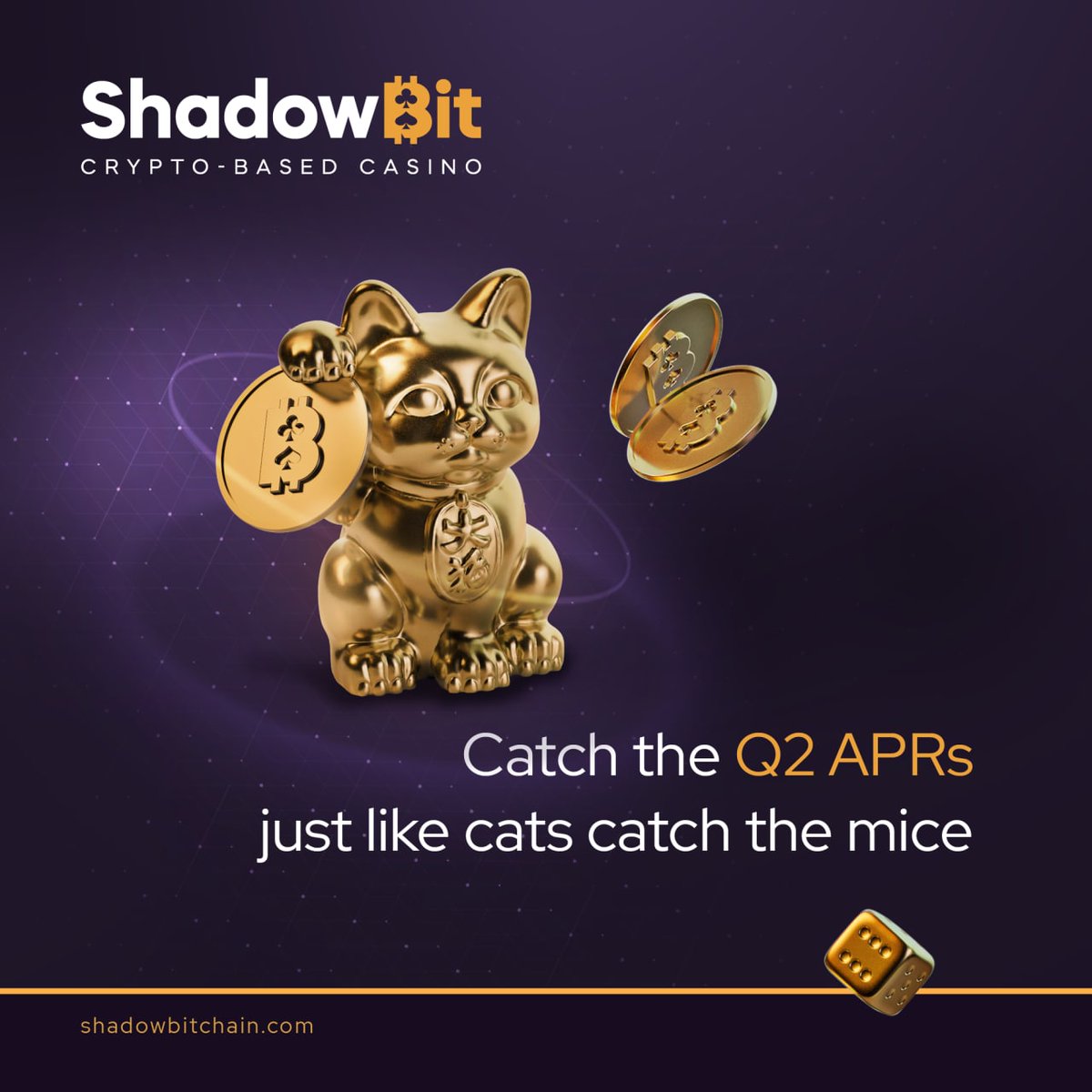 ShadowBit tweet media