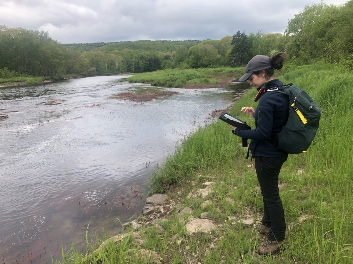 Great to join our Maritimes Stewardship team and ⁦<a href="/NSNatureTrust/">Nova Scotia Nature Trust</a>⁩ in the field this week, monitoring #privateprotectedareas along St. Mary’s River (longest in #NovaScotia). Beats being in the office! ⁦Next time: bring fly rod. ⁦<a href="/QLFNews/">QLF</a>⁩ #nature #biodiversity