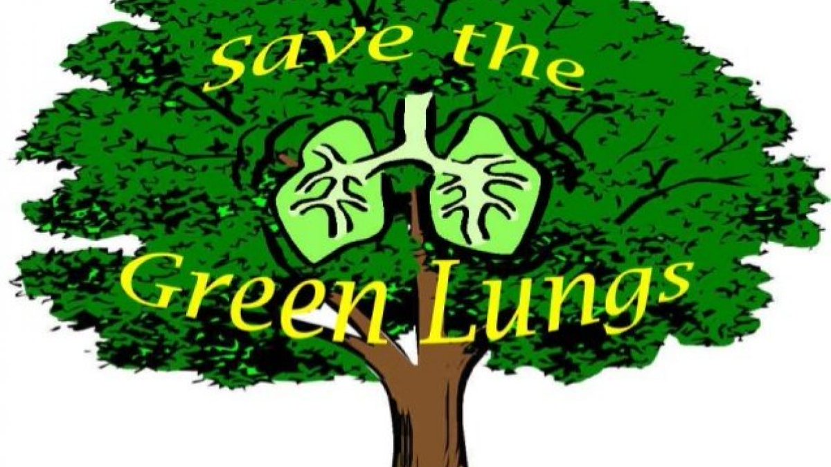 Plants provide 80% of the food we eat and 98% of the air we breathe.
Trees reduce the amount of stormwater runoff, which reduces erosion and pollution in our waterways and may reduce the effects of flooding. 
Why destroy them?
#trees #SustainableDevelopment #EnvironmentGo