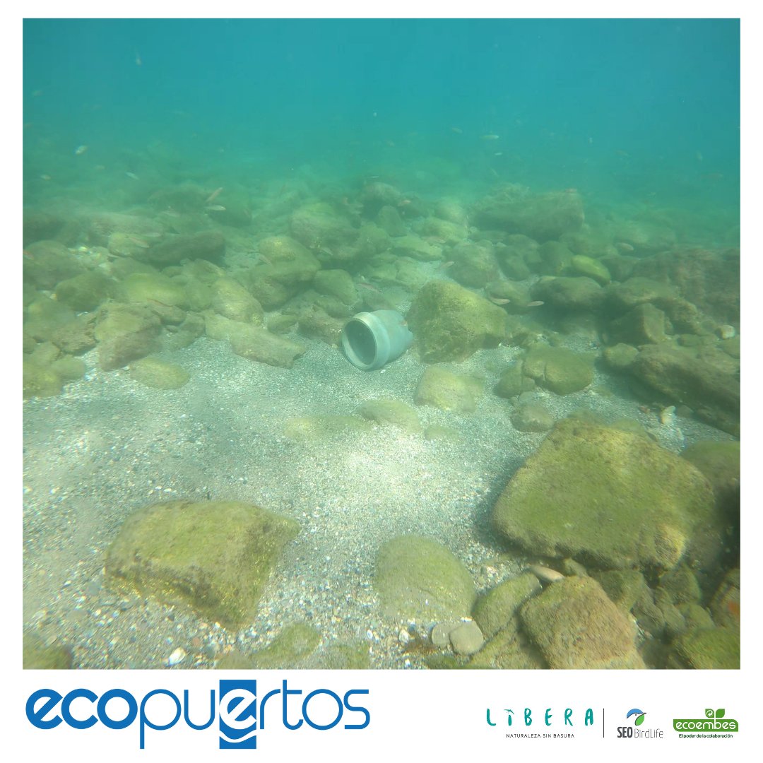 Seguimos con los muestreos de Ecopuertos #FondosSomeros en la rambla de Castell de Ferro, zona de intensa actividad agrícola donde predominan residuos de este sector que, arrastrados por el viento y la lluvia, acaban en el fondo del mar ⚠️ #ProyectoLIBERA <a href="/ecoembes/">Ecoembes</a> <a href="/castell2015/">Toñi Antequera</a>