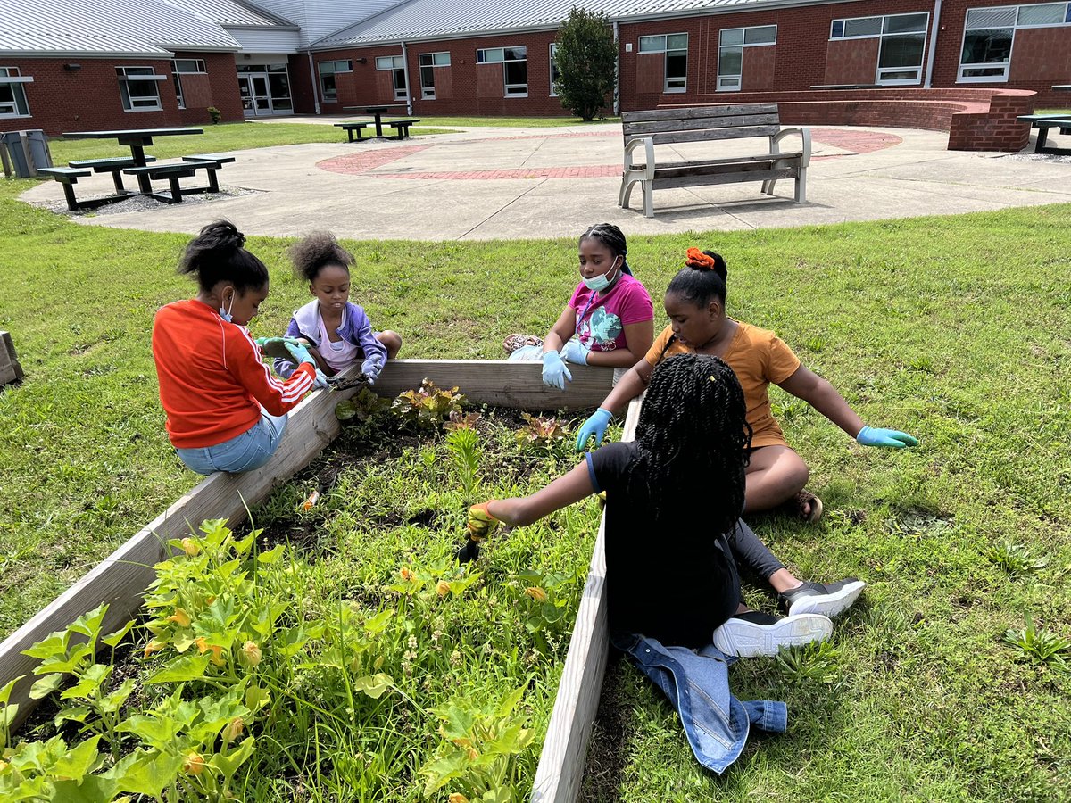 Terry Wright Hill tweet media