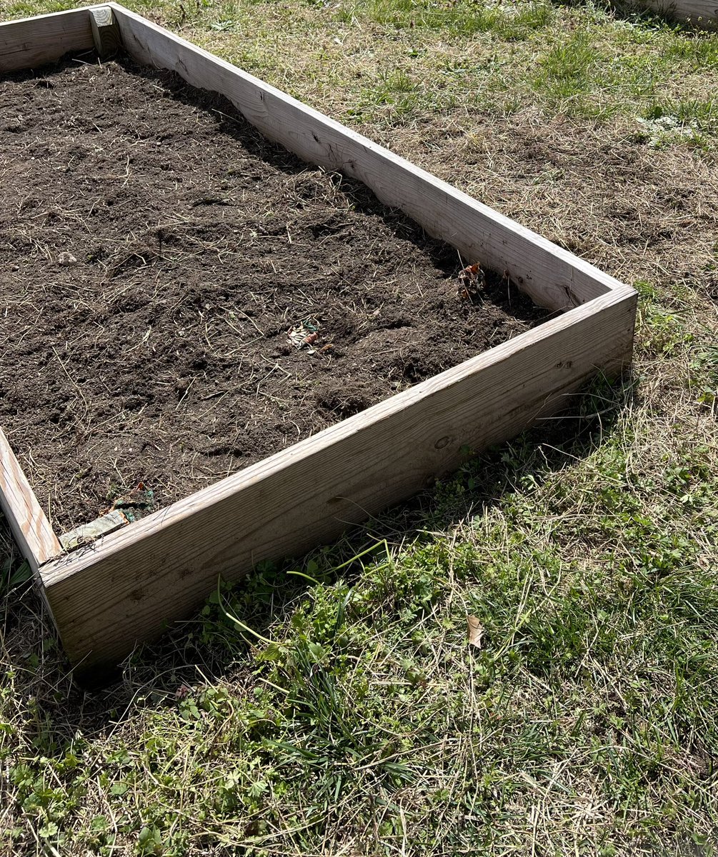 Terry Wright Hill tweet media