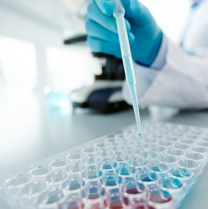 Jomar_LR's tweet photo. The final step in all #ELISA assays is the detection step by addition of an enzyme substrate: colourimetric, fluorimetric, or chemiluminescent.

What detection method do you use❓

https://t.co/yhFc7FVKbB

#assays #enzymes #ELISAKit #CellBiology #scicomm https://t.co/C6qNTUI9HA