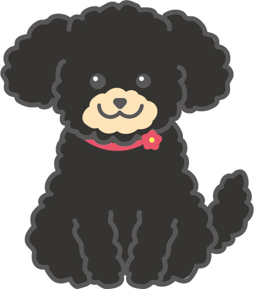 プードルのtwitterイラスト検索結果