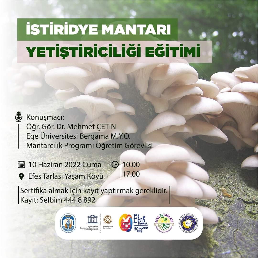 Selçuk Belediyesi ile protokolümüz kapsamında Efes Tarlası Yaşam Köyü'ndeki eğitimlerimiz, Üyemiz Bergama M.Y.O. Ögretim Görevlisi Dr. Mehmet ÇETİN'in  verdiği "İstiridye Mantarı Yetiştiriciliği Eğitimi" ile başladı.